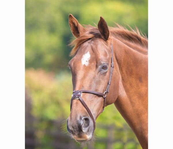 Velociti GARA Mexican Noseband