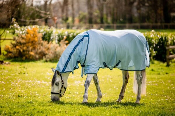 Amigo® Bug Rug Fly Sheet