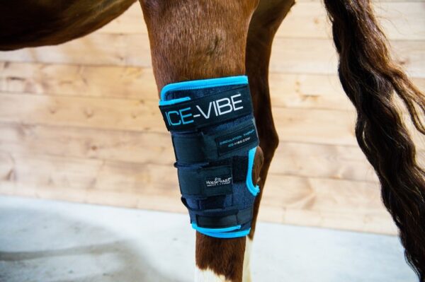 Ice-Vibe® Hock Wrap
