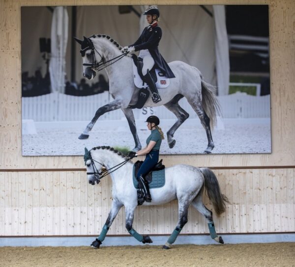 Carbon Mesh Air Dressage Square Sage - Image 2