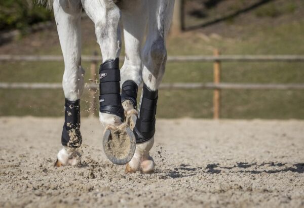 Carbon Air XC Boots Hind - Image 5
