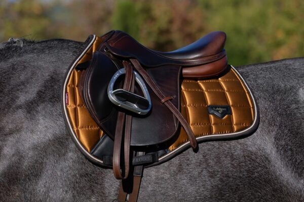 Loire Classic GP Square Ginger - Image 2