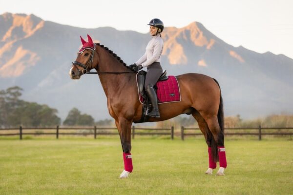 Loire Classic Dressage Square Ember - Image 3