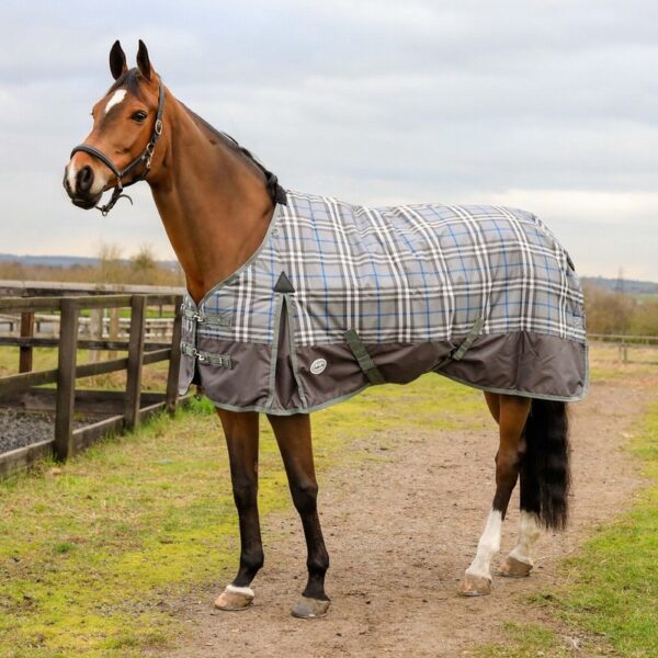 Equii-Est Double Vision 350gDetachable Neck Turnout Rug - Image 2