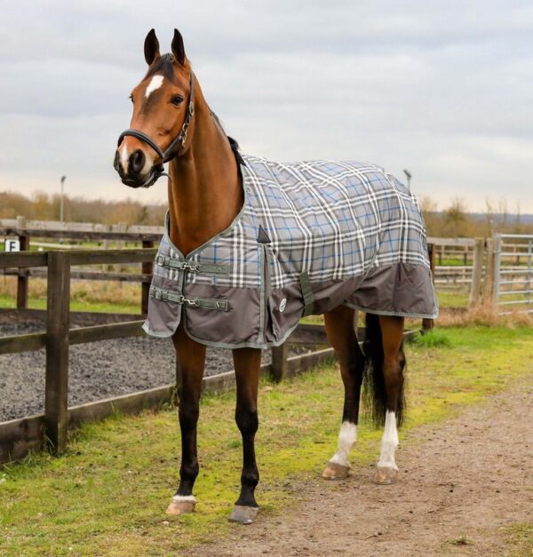 Equii-Est Double Vision 350gDetachable Neck Turnout Rug