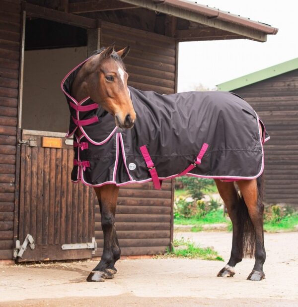 Equii-Est Espoir 200g Detachable Neck Turnout Rug - Image 2