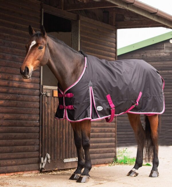 Equii-Est Espoir 200g Detachable Neck Turnout Rug