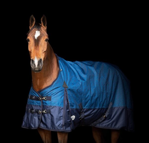Equii-Est Furisto 200g Standard Neck Turnout Rug - Image 2