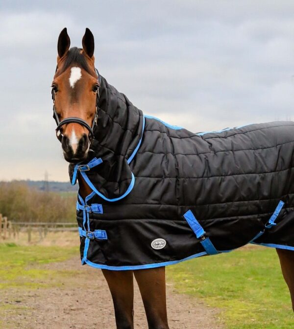 Equii-Est Jazz 350g Fixed Neck Stable Rug