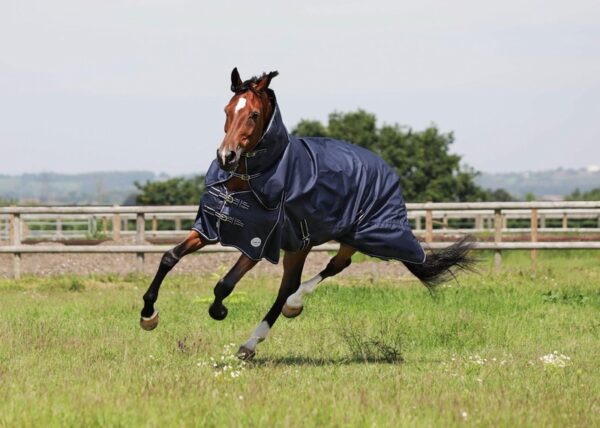 Equii-Est Oakley Lightweight Turnout Rug