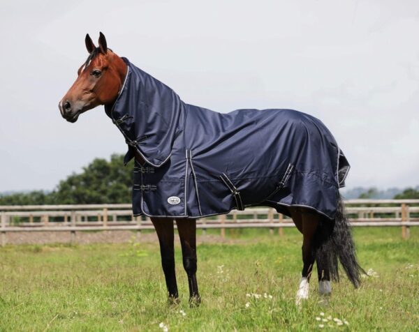 Equii-Est Oakley Lightweight Turnout Rug - Image 2