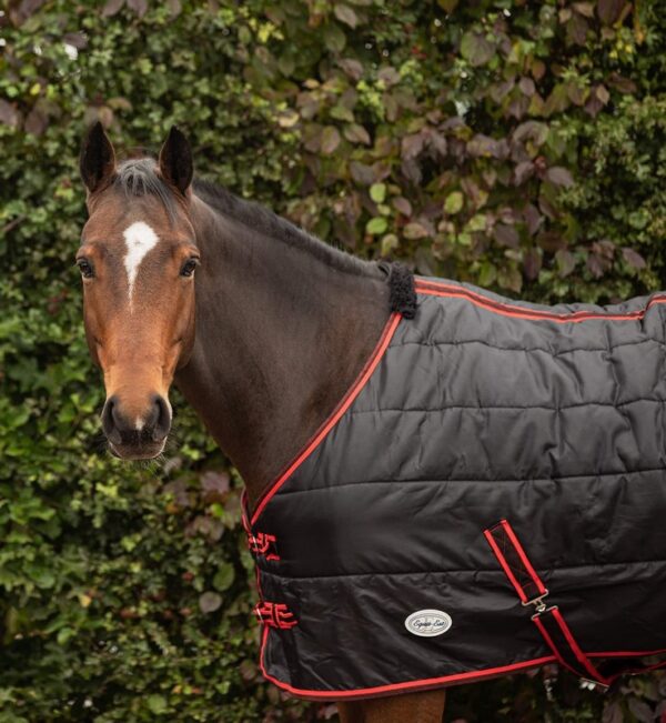 Equii-Est Sovereign Seal 350g Standard Neck Stable Rug