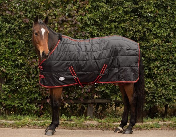 Equii-Est Sovereign Seal 350g Standard Neck Stable Rug - Image 2