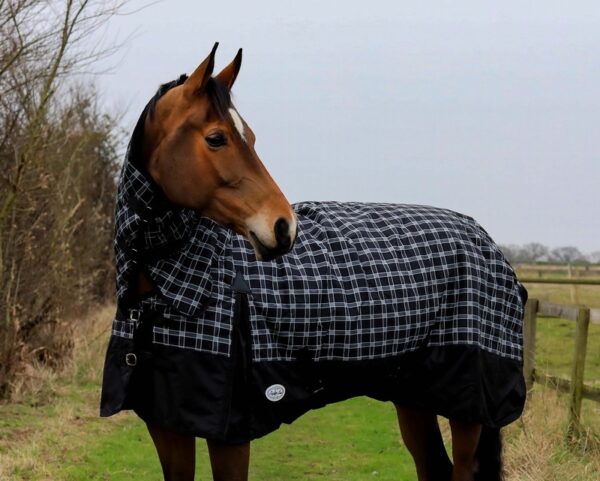 Equii-Est Trewyn 350g Fixed Neck Turnout Rug