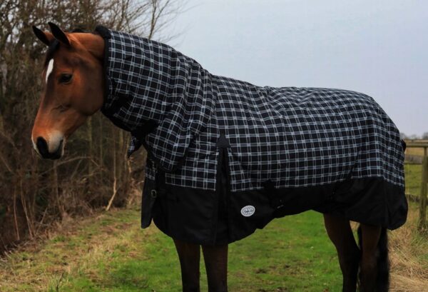 Equii-Est Trewyn 350g Fixed Neck Turnout Rug - Image 2