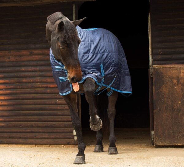 Equii-Est Zambezi 100g Standard Neck Stable Rug