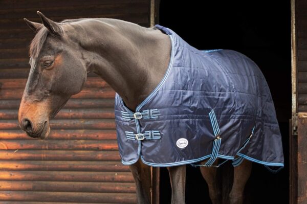 Equii-Est Zambezi 100g Standard Neck Stable Rug - Image 2