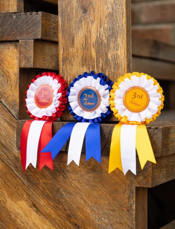 Hobby Horse Rosette Pack Multi One Size
