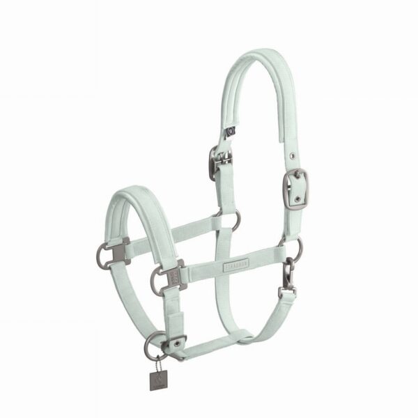 Cord Double Pin Headcollar Powder Green