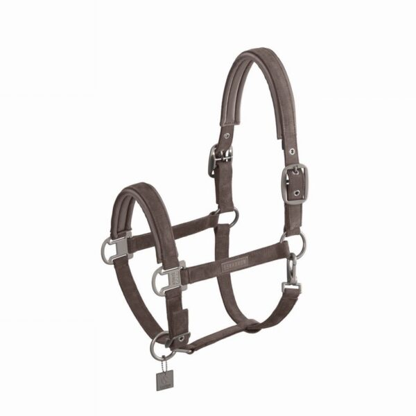 Cord Double Pin Headcollar Smoke Taupe