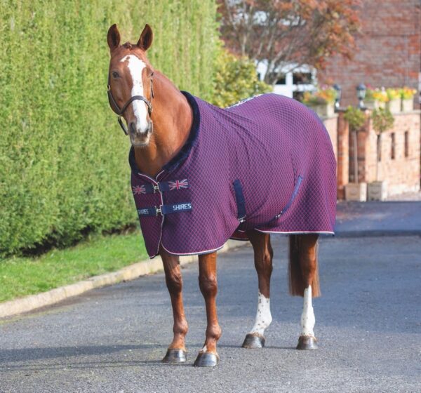 Tempest Original Team Shires Rug