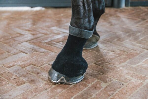 Kentucky Tendon Grip Gel Black
