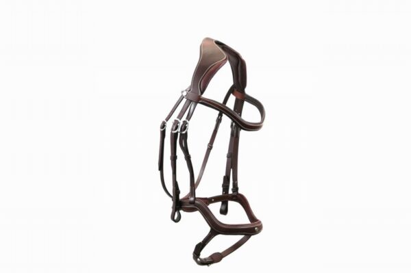 Antares Precision Y Noseband Bridle Black Full