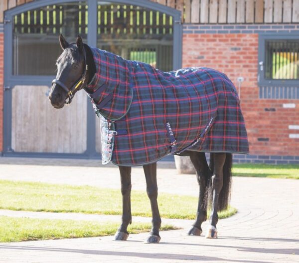 Tempest Plus 100 Combo Stable Rug
