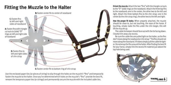 Flexible Filly Grazing Muzzle - Image 5