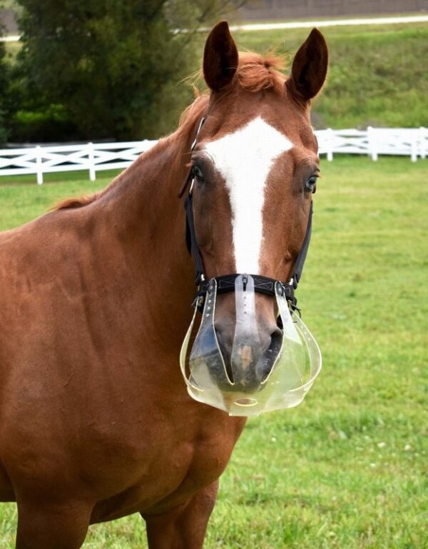 Flexible Filly Grazing Muzzle