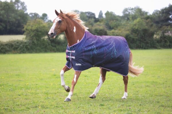 Tempest Original Lite Turnout Rug
