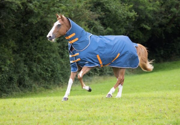 Tempest Original Lite Turnout Rug & Neck Set