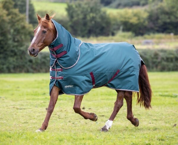 Tempest Original 200 Turnout Rug & Neck Set - Image 3
