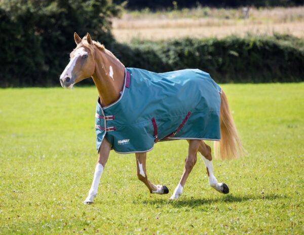 Tempest Original 200 Turnout Rug & Neck Set - Image 2
