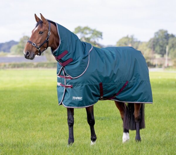 Tempest Original 200 Turnout Rug & Neck Set