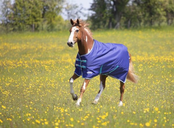 Tempest Original 100 Turnout Rug