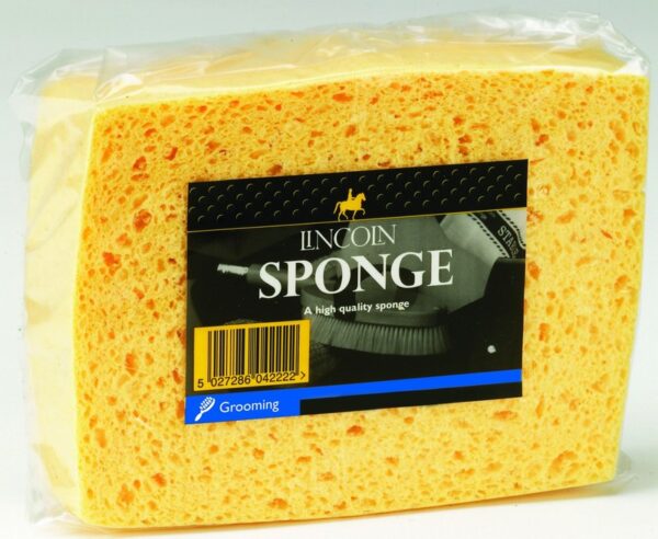 Lincoln Sponge