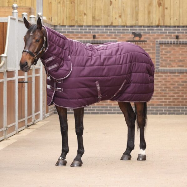 Tempest Original 300 Stable Rug & Neck Burgundy