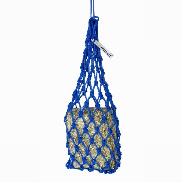 Equilibrium Munch Net Blue
