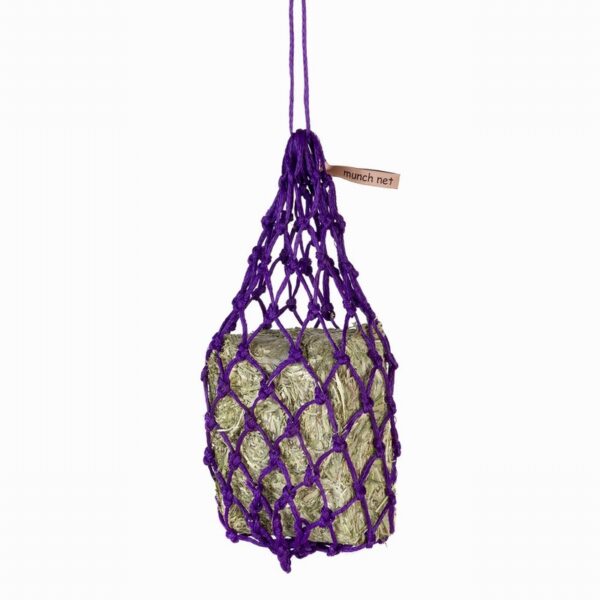 Equilibrium Munch Net Purple