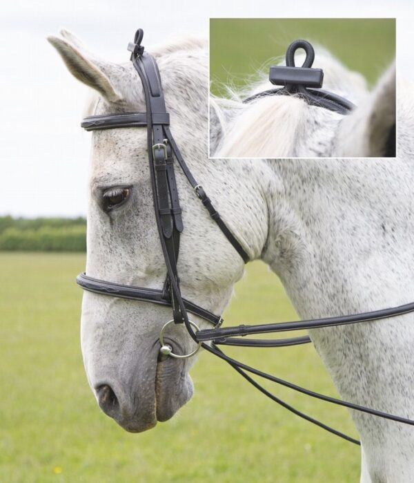 Elastic Training Reins