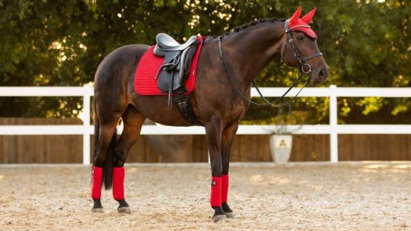 Suede Dressage Square Chilli red - Image 6