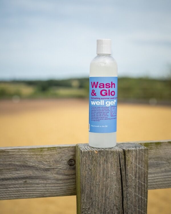 Wellgel Wash and Glo 300g